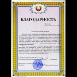 <p>
	Благодарность от Пуховичского психоневрологического дома-интерната</p>
